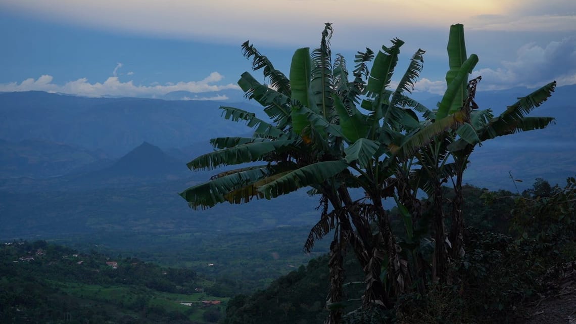 How To Confront The Beast