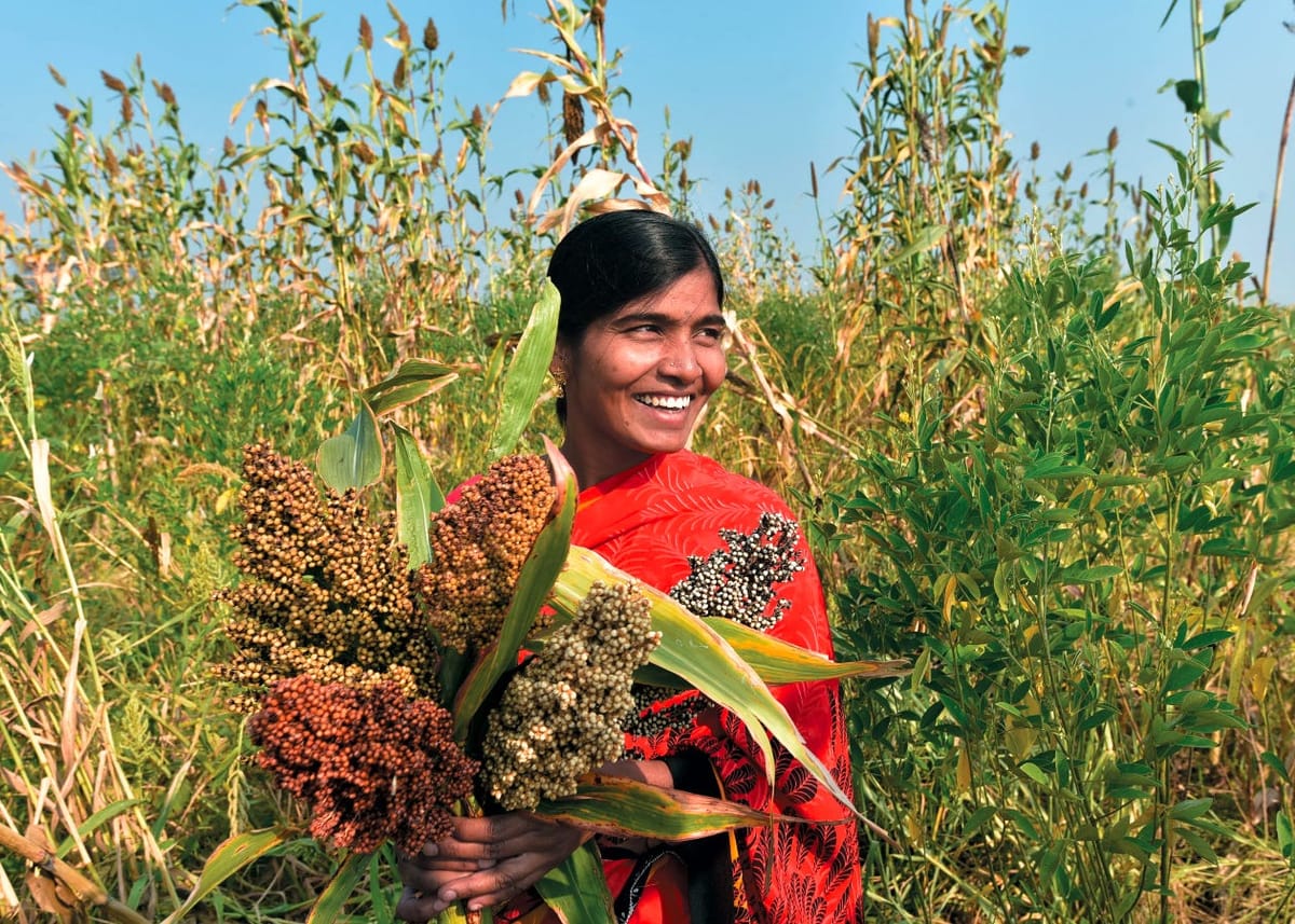 Where The Mind Is Without Fear