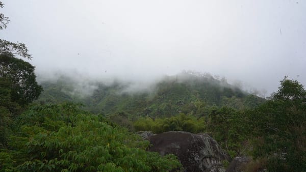 How To Resist a Gold Mine